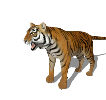 精品动物模型 老虎 (2)